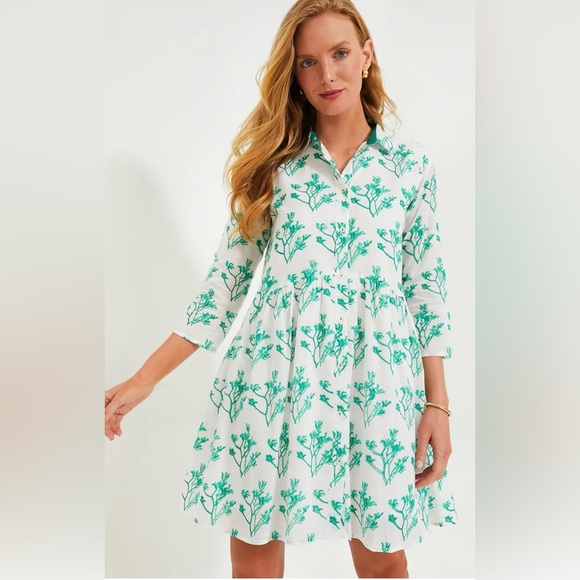 Tuckernuck Dresses & Skirts - Tuckernuck/Ro’s Garden Green and White Deauville Dress